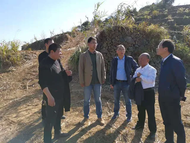 科技专家助力同盟村茶产业规范发展