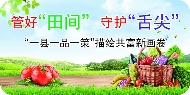 全程管控放心吃!这里的杨梅个大味甜农残少