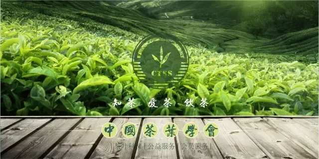 中国茶艺六级培训班来了！相约一起来进阶