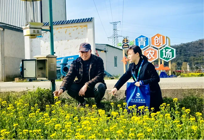 银行业聚焦金融助力春耕系列报道③ | 播撒“金融春雨” 护航春耕备播