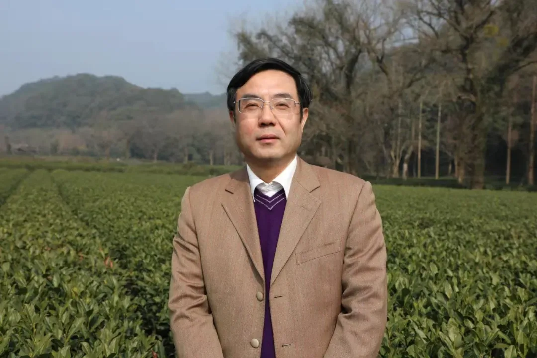 中国茶艺六级培训班来了！相约一起来进阶