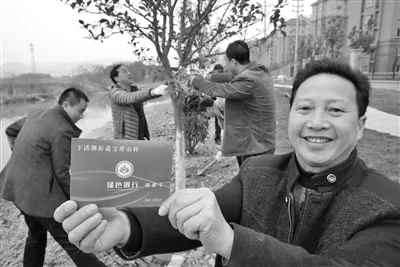 植树、养树积分可用于信用贷款 德清“绿色银行” 开张
