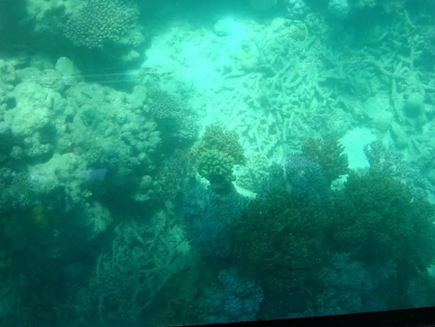 海洋变沙漠！气候变化下如何避免毁“渔”一旦？