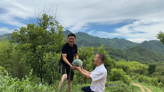 助城乡共富① | 义商银行助瓜农种植有“甜头”增收致富有“盼头”