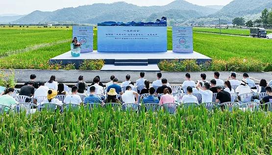 浙江桐庐瑶琳镇内外兼修做优经营共富单元
